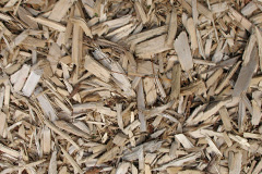 biomass boilers Moorbath